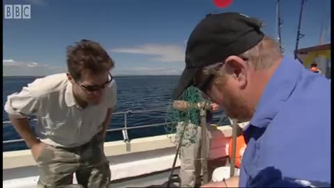 Tagging Blue Sharks | Sharks | BBC Earth