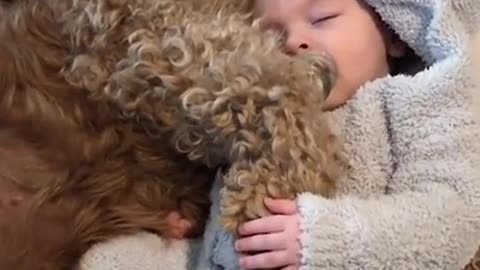 Cute baby sleep beside to his Teddy Dog