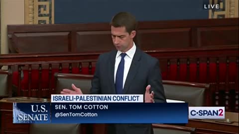 Cotton Rips ‘Whiny Reporters’ at the AP After Israel Destroys Hamas Targets in Gaza