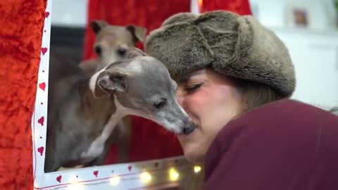 Dog Kissing Booth