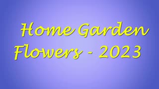 2023 Home Garden Flowers