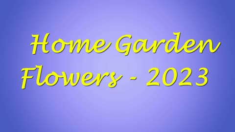 2023 Home Garden Flowers