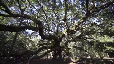 10 Best Places to Visit in South Carolina - Travel Video