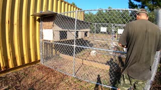 building a Chicken Coop