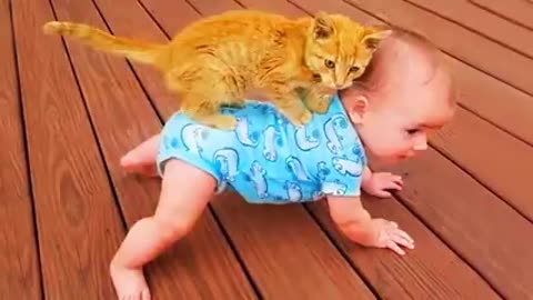 Battle of cat and babies.baby angry with cat
