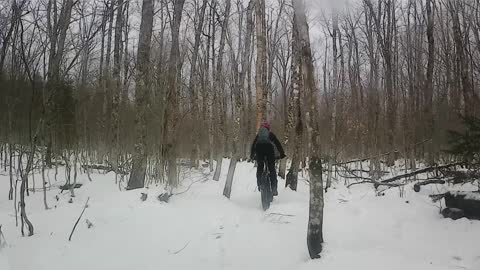 Fat biking Laverty Falls