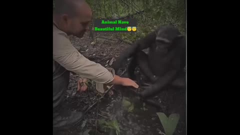 Man Treated Good By Monkey😇😇