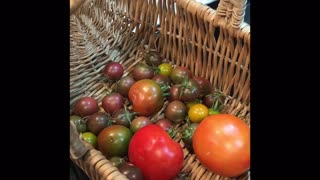 Making Tomato Jam