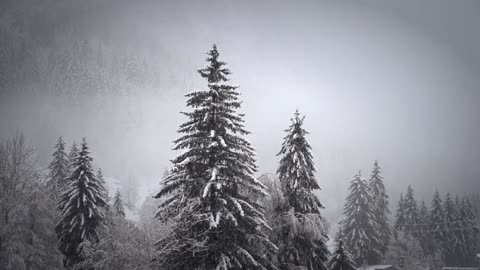 Wintertime Images and Relaxing, Calm, Soothing Music