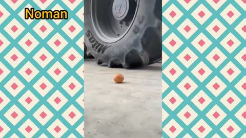 The car crosses the egg