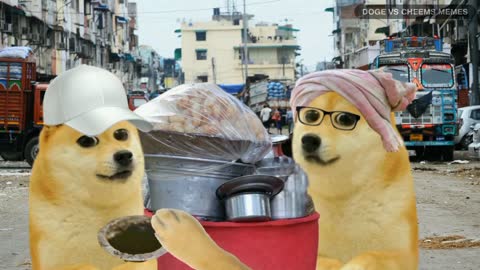 OMG Our favourite Doge went to india