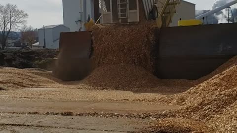 Trailer unload on a tipper.