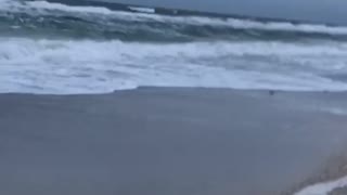 Big waves at Bradenton Beach (Florida,USA)