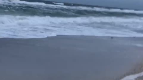 Big waves at Bradenton Beach (Florida,USA)
