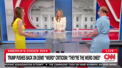 Dem Strategist Tells CNN Host Harris Will Be 'Defining Herself' With Ad Spending