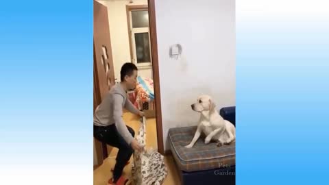 Man surprise the dog