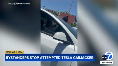 Video shows bystanders stop Tesla carjacking in LA intersection