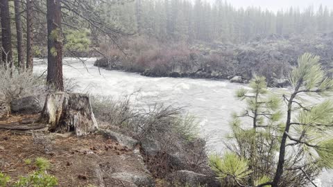 Hiking Along the Beautiful Deschutes River Trail – Central Oregon – 4K