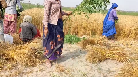 Real Life India Woman daily Routine work Rural Life India Uttar Pradesh village of The Life style