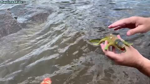 SEA ANIMAL TOYS THIS SUMMER AT THE SHORE