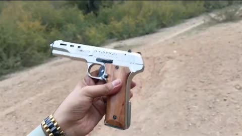 Desert Scorpion 🦂 20shot pistol