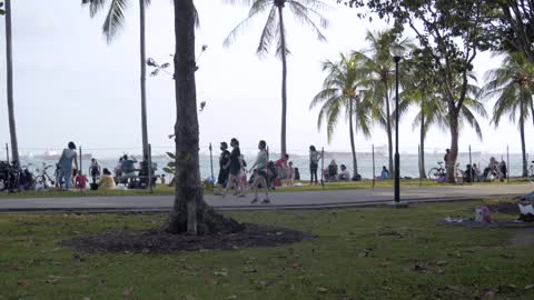 Picnic by the beach within rope fencing