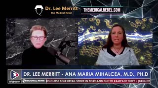 DR. LEE MERRITT INTERVIEWS DR. ANA MIHALCEA ABOUT WHAT'S IN THE JABS