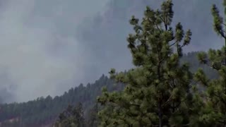 Lightning strikes stoke forest fires in Canada