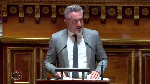 Intervention de Stéphane Ravier au Sénat ( Covid19 France )