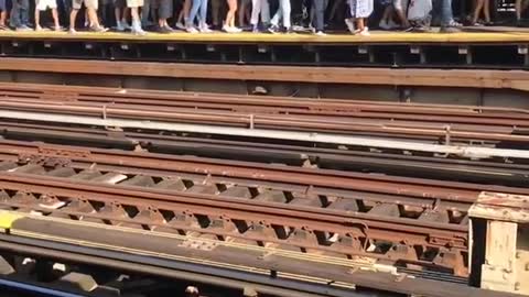 Long line of people at station next to yankee stadium