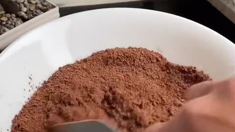 Chocolate swuisrol cake