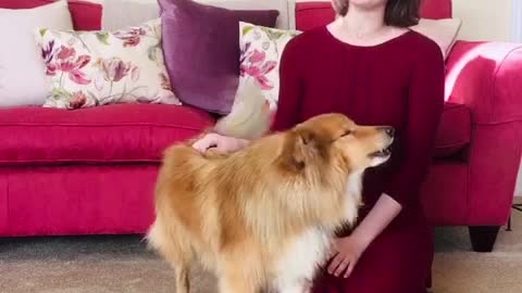 Singing dog duet will make you LOVE the opera