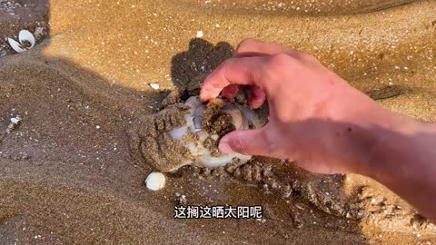 #中海#vlog I saw the soymilk in a state of embarrassment. At this moment, I just want to sen