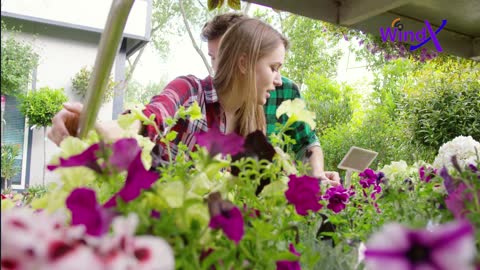 Rhododendron – Growth, Care, Flowering, Propagation