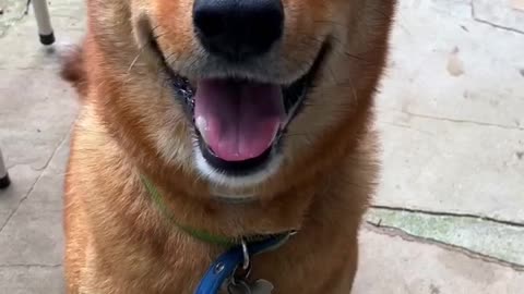 slo mo to a full smile