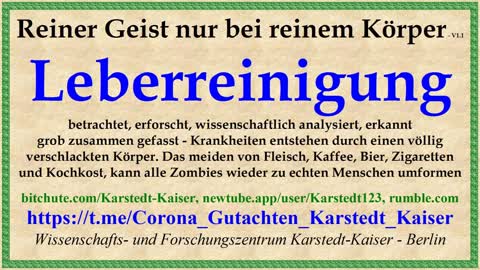 Leberreinigung (Kurzfassung) - V1.1 - Karstedt-Kaiser