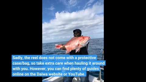 Honest Feedback: Daiwa TANACOM1000 Dendoh Fishing Reel, 30-40 lb, Black