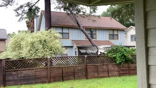 Tree Falls on House from Hurricane Sally