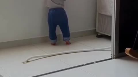 cat taking child out of danger