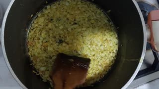 fried onion