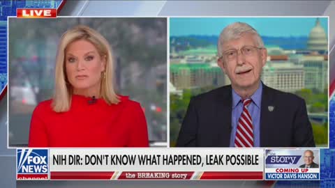 Martha MacCallum speaks with NIH Director Dr. Francis Collins