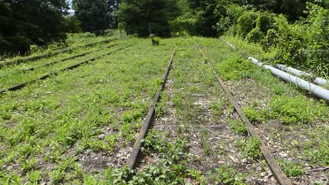 Old abandon rail yard at the Cement compay