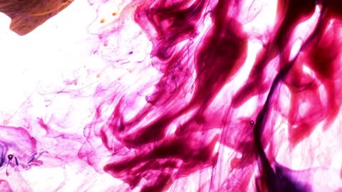 A Pink Liquid Paint in Motion