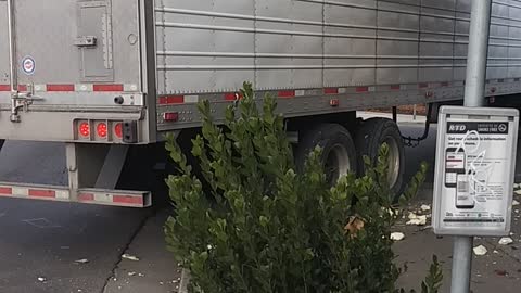 Semi Truck Driver Makes a Very Expensive Wrong Turn