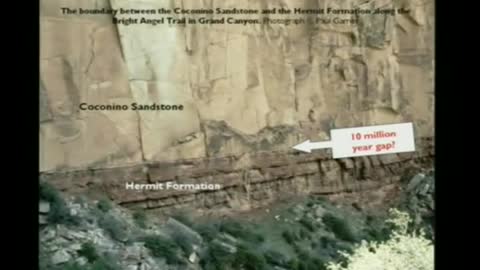 The Grand Canyon Evidence for the Flood