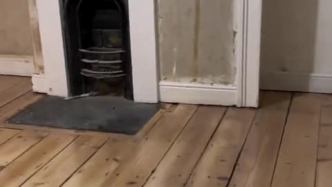 Wait, There's Wood Under There!?