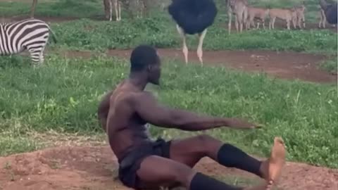 WHO ELSE IS WATCHING THE OSTRICH AFRICA GYM