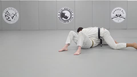 Back Take - Turtle Counter the Side Roll