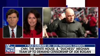 Tulsi Gabbard reacts to attempts to censor Joe Rogan