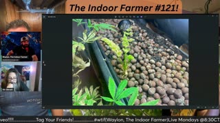 The Indoor Farmer #121! Herb Drying Area and A New Thought On A Water Reservoir!